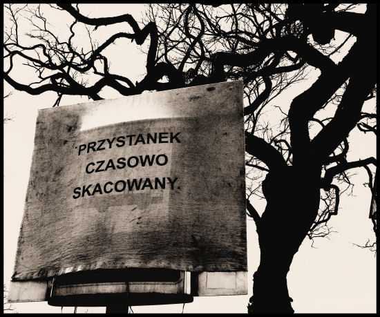 skacowany.jpg