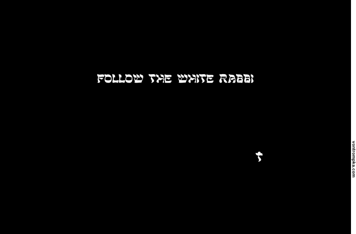 follow the white rabbi. follow the white rabbit