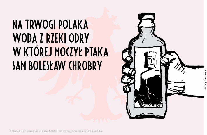 na trwogi polaka woda z rzeki odry w której moczył ptaka sam bolesław chrobry