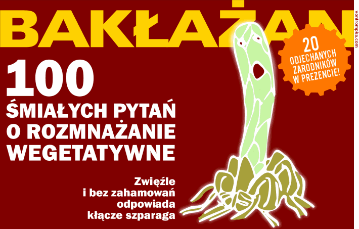 bakłażan. 100 śmiałych pytań o rozmnażanie wegetatywne