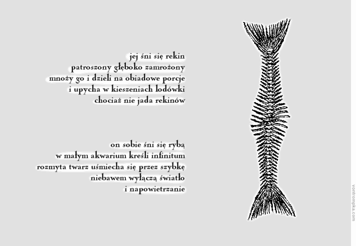jej śni się rekin / patroszony głęboko zamrożony / mnoży go i dzieli na obiadowe porcje / i upycha w kieszeniach lodówki / chociaż nie jada rekinów / / on sobie śni się rybą / w małym akwarium kreśli infinitum / rozmyta twarz uśmiecha się przez szybkę / niebawem wyłączą światło / i napowietrzanie