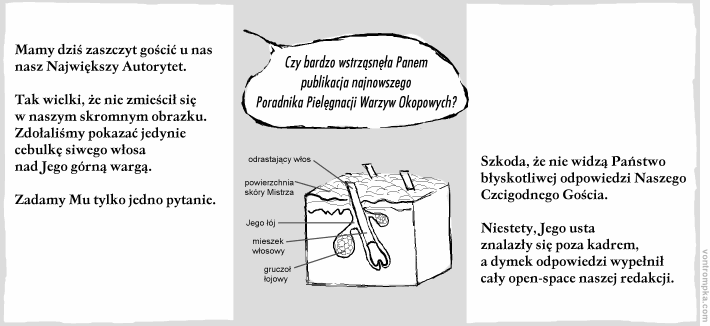 mamy dziś zasczyt gościć u nas nasz największy autorytet. tak wielki, że nie zmieścił się w naszym skromnym obrazku. zdołaliśmy pokazać jedynie cebulkę siwego włosa nad jego górną wargą. czy bardzo wstrząsnęła panem publikacja najnowszego poradnika pielęgnacji warzyw okopowych?