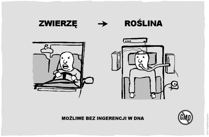 zwierzę - roślina możliwe bez ingerencji w dna gmo