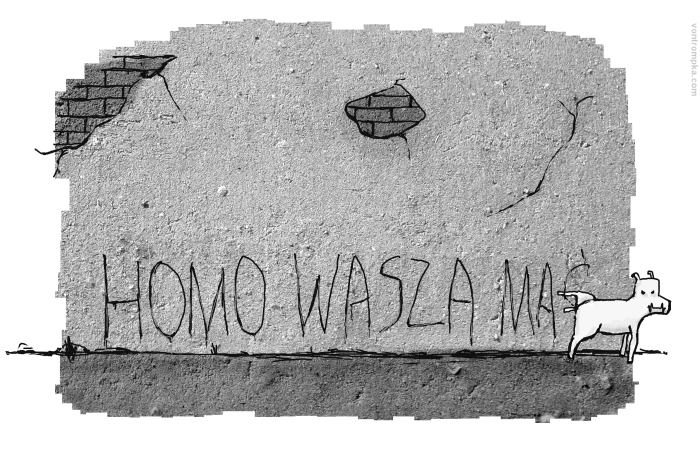 homo wasza mać