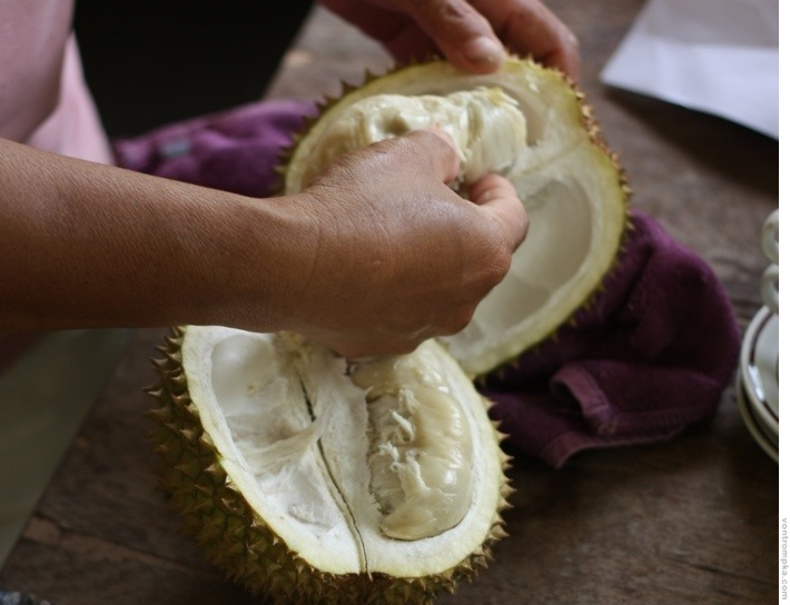 durian, jaki jest, każdy widzi