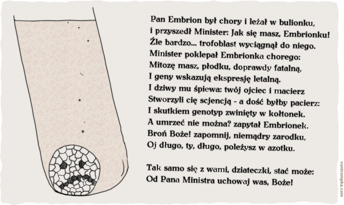 Pan Embrion był chory i leżał w bulionku, i przyszedł Minister: Jak się masz, Embrionku! Źle bardzo... trofoblast wyciągnął do niego. Minister poklepał Embrionka chorego: Mitozę masz, płodku, doprawdy fatalną, I geny wskazują ekspresję letalną. I dziwy mu śpiewa: twój ojciec i macierz Stworzyli cię scjencją - a dość byłby pacierz: I skutkiem genotyp zwinięty w kołtonek. A umrzeć nie można? zapytał Embrionek. Broń Boże! zapomnij, niemądry zarodku, Oj długo, ty, długo, poleżysz w azotku.  Tak samo się z wami, dziateczki, stać może: Od Pana Ministra uchowaj was, Boże!