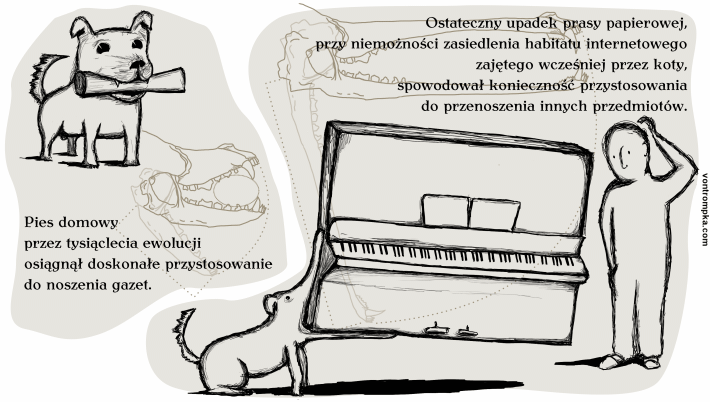 Pies domowy przez tysiąclecia ewolucji osiągnął doskonałe przystosowanie do noszenia gazet. Ostateczny upadek prasy papierowej, przy niemożności zasiedlenia habitatu internetowego zajętego wcześniej przez koty, spowodował konieczność przystosowania do przenoszenia innych przedmiotów.