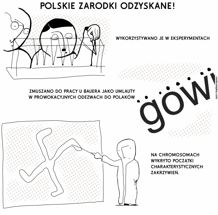 polskie zarodki odzyskane! wykorzystywano je w eksperymentach niektóre zmuszano do pracy u bauera jako umlauty w prowokacyjnych odezwach do Polaków gowin na chromosomach wykryto początki charakterystycznych zakrzywień 