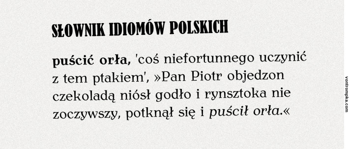 słownik idiomów polskich - puścić orła, coś niefortunnego uczynić z tem ptakiem, Pan Piotr objedzon czekoladą niósł godło i rynsztoka nie zoczywszy, potknął się i puścił orła.