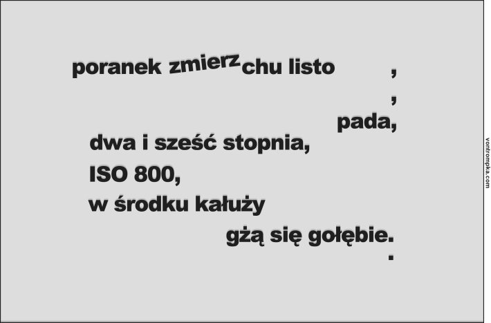 poranek schyłku listopada, pada, dwa i sześć stopnia, ISO 800, w środku kałuży gżą się gołębie.