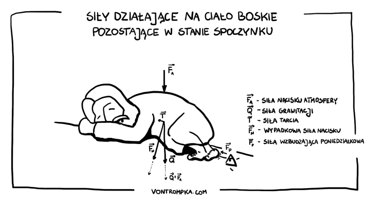 siły działające na ciało boskie pozostające w stanie spoczynku siła grawitacji siła tarcia siła nacisku atmosfery wypadkowa siła nacisku siła wzbudzająca poniedziałkowa