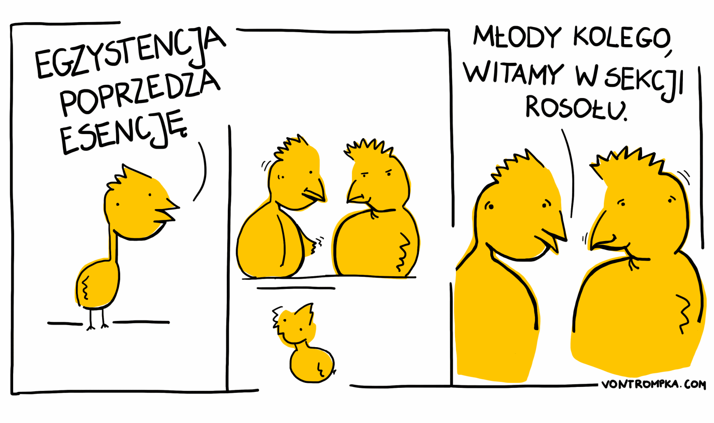 egzystencja poprzedza esencję. młody kolego, witamy w sekcji rosołu.