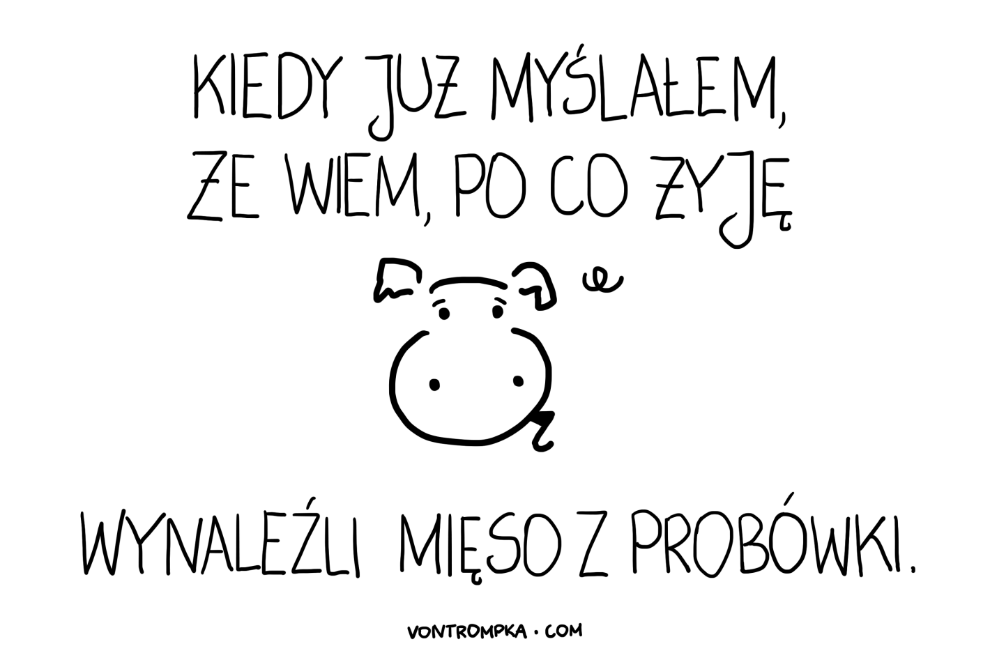 kiedy już myślałem, że wiem, po co żyję, wynaleźli mięso z probówki