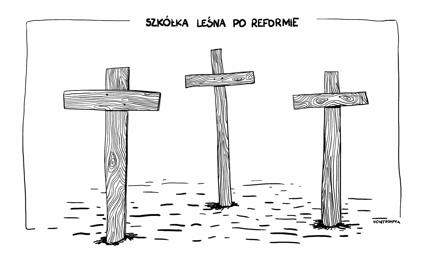 szkółka leśna po reformie