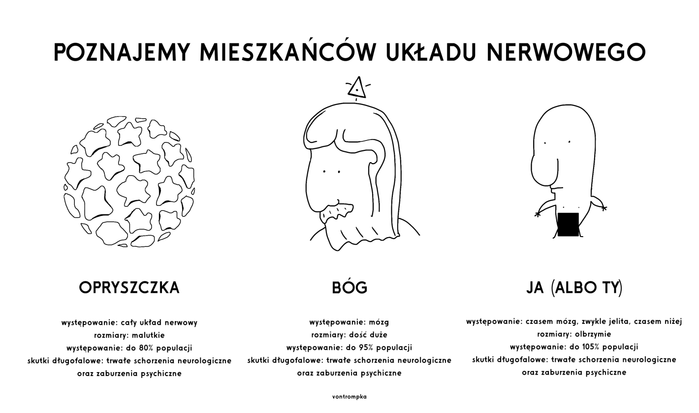 POZNAJEMY MIESZKAŃCÓW UKŁADU NERWOWEGO  opryszczka miejsce występowania: cały układ nerwowy rozmiary: malutkie występowanie: do 80% populacji skutki długofalowe: trwałe schorzenia neurologiczne oraz zaburzenia psychiczne  BÓG miejsce występowania: mózg rozmiary: dość duże występowanie: do 95% populacji skutki długofalowe: trwałe schorzenia neurologiczne oraz zaburzenia psychiczne  ja miejsce występowania: czasem mózg, zwykle jelita, czasem niżej rozmiary: olbrzymie występowanie: do 105% populacji skutki długofalowe: trwałe schorzenia neurologiczne oraz zaburzenia psychiczne