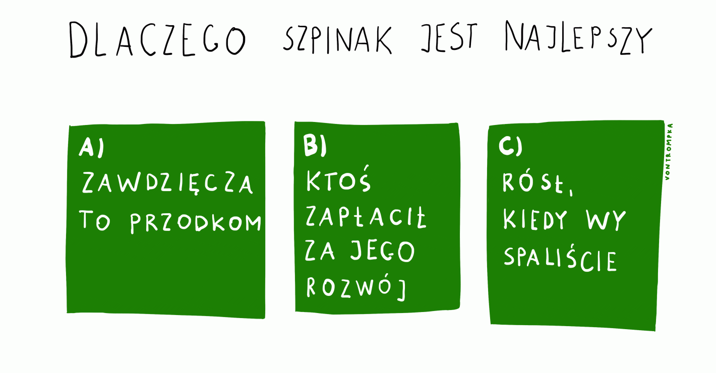 dlaczego szpinak jest najlepszy a) zawdzięcza to przodkom b) ktoś zapłacił za jego rozwój c) rósł kiedy wy spaliście