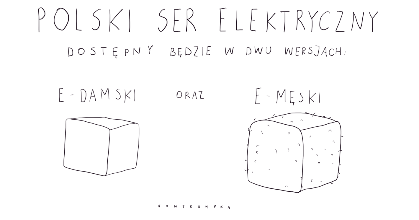 polski ser elektryczny dostępny będzie w dwu wersjach e-damski e-męski