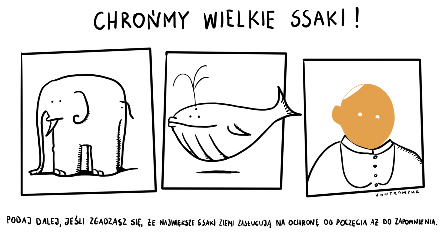 chrońmy wielkie ssaki! podaj dalej, jeśli zgadzasz się, że nawiększe ssaki Ziemi zasługują na ochronę od poczęcia aż do zapomnienia.