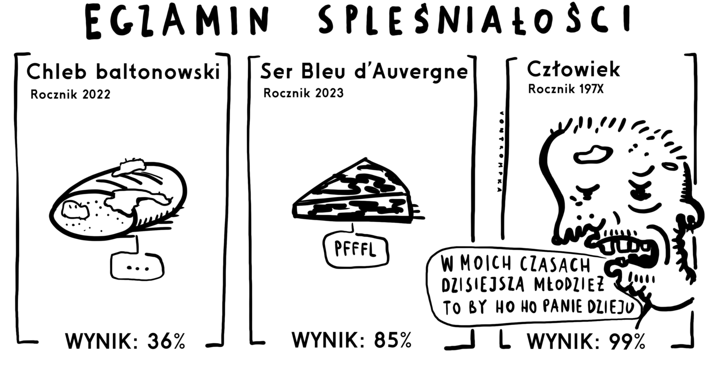 egzamin spleśniałości
chleb baltonowski rocznik 2023 wynik 36% ser bleu d’auvergne rocznik 2023 pfffll wynik 85% człowiek rocznik 197x za moich czasów dzisiejsza młodzież to by ho ho panie dzieju wynik 99%