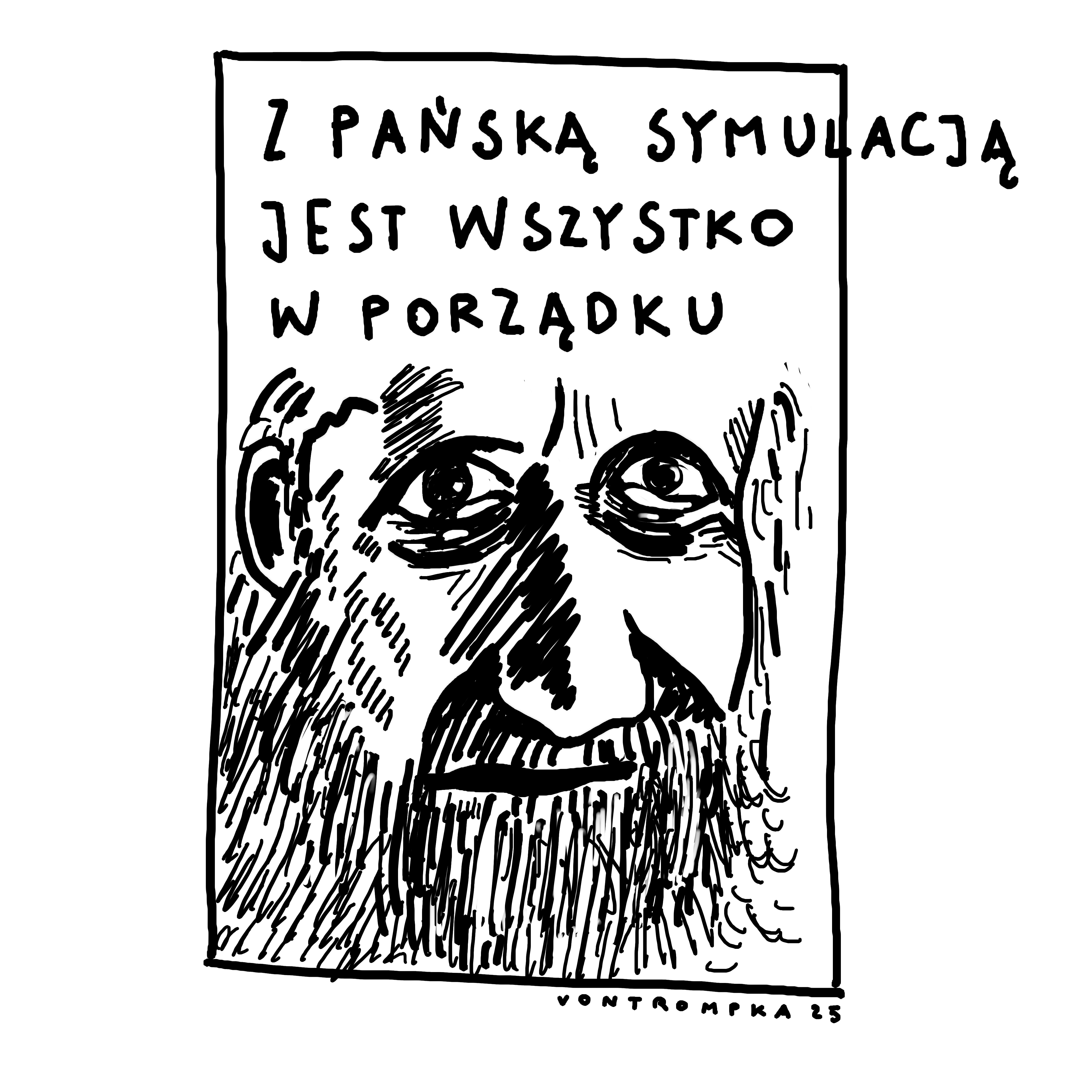wicerzeczywistość