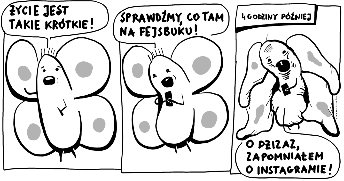 życie jest takie krótkie! sprawdźmy, co na fejsbuku! 4h poźniej o dżizaz, zapomniałem o instagramie!